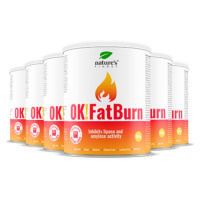 100% FatBurn Nápoj | 6x OK!FatBurn® | s ID-Alg® a L-Karnitínom | Najlepšie Spaľovače Tuku na Slo