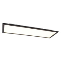 Stropné svietidlo čierne 80 cm vrátane LED s diaľkovým ovládaním - Liv