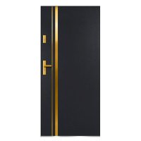 Dvere vchodové Aion S68 90L antracit