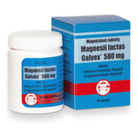 MAGNESII Lactas 500 mg 50 tabliet