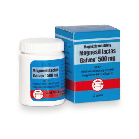 MAGNESII Lactas 500 mg 50 tabliet