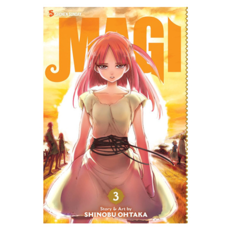 Viz Media Magi: The Labyrinth of Magic 03