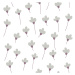 DEKORNIK Simple Daisies On White - Tapeta