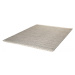 Ručne tkaný kusový koberec JAIPUR 333 Silver Rozmery koberca: 120x170