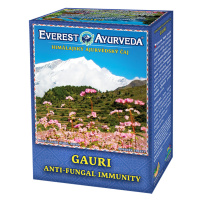 EVEREST AYURVEDA Gauri sypaný čaj 100 g