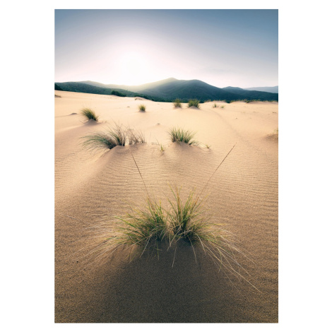 Komar Vliesová fototapeta Vivid Dunes 200 x 280 cm