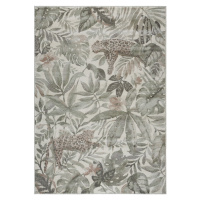 AKCE: 80x150 cm Kusový koberec Botanical 103902 Cream/Green/Copperbrown z kolekce Elle - 80x150 