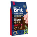 BRIT PREMIUM BY NATURE ADULT L 8 KG (294-170826)