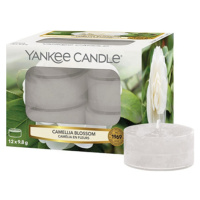 Yankee Candle, Kvet kamélie, Sviečky čajové ,12 ks