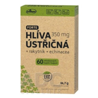 VITAR Hliva ustricová + rakytník + echinacea forte 60 kapsúl