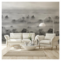 VLADILA Foggy Landscape Grey - tapeta