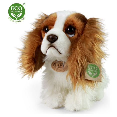 Rappa Plyšový pes King Charles Španiel 25 cm Eco Friendly