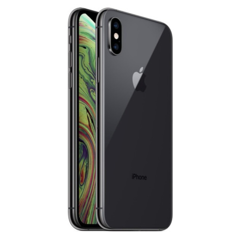 Apple iPhone XS 512GB vesmírne šedý