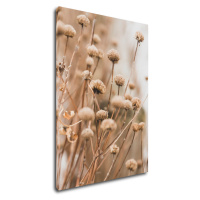 Impresi Obraz Škandinávsky štýl suchá tráva - 50 x 70 cm