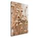 Impresi Obraz Škandinávsky štýl suchá tráva - 50 x 70 cm