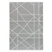 Sivý koberec 160x230 cm Lux – Universal