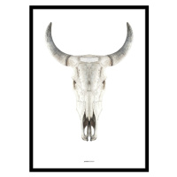 Plagát v ráme 50x70 cm Cow Skull – Malerifabrikken