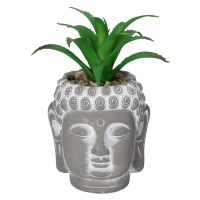 Dekoria Dekorácie Aloe Buddha 17cm, 10 x 10 0x 17 cm