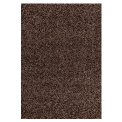 Kusový koberec Dream Shaggy 4000 brown - 60x110 cm Ayyildiz koberce