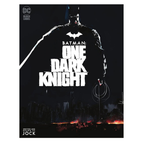 DC Comics Batman: One Dark Knight