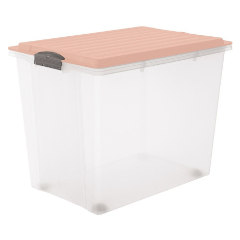 Plastový úložný box s vekom Compact - Rotho