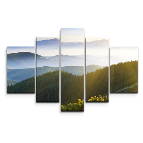 Obraz - 5-dílný Príroda - 125x90 cm