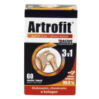 ARTROFIT 60 kapsúl