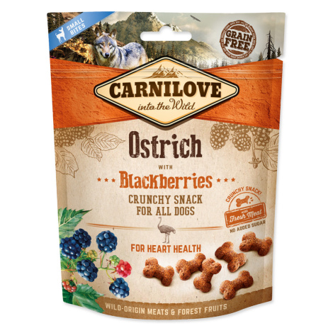CARNILOVE DOG CRUNCHY SNACK OSTRICH WITH BLACKBERRIES WITH FRESH MEAT 200G (294-100406) Brit