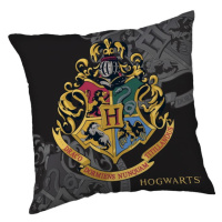 Detský vankúšik Harry Potter – Jerry Fabrics