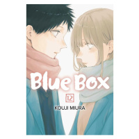 Viz Media Blue Box 12