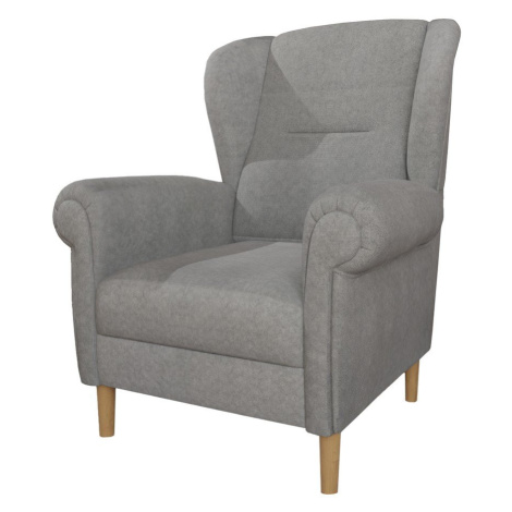 Svetlosivé kreslo ušiak Swan – Ropez