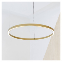 Luceplan Compendium Circle 110 cm, mosadz