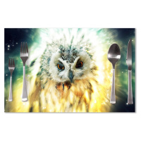 Prestieranie Sova: 40x30cm