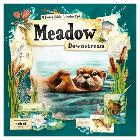 Rebel Meadow: Downstream