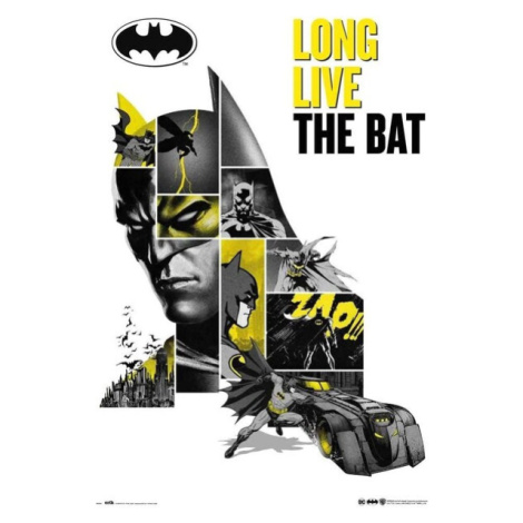 Plagát Batman - 80th Anniversary (140)