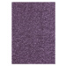 Kusový koberec Nasty 101150 Lila Rozmery kobercov: 160x240