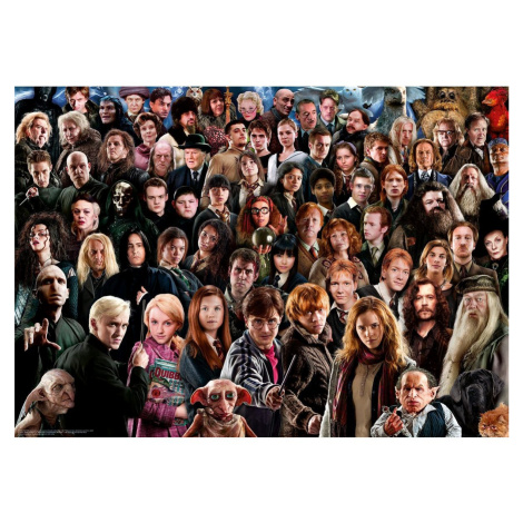 Ravensburger Puzzle Harry Potter Predstavitelia sveta čiar a kúziel 1000 dielikov