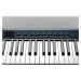 Kurzweil KA P1 LB