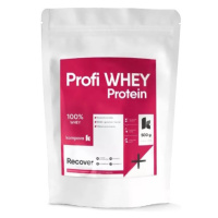 KOMPAVA Profi WHEY protein vanilka 500 g