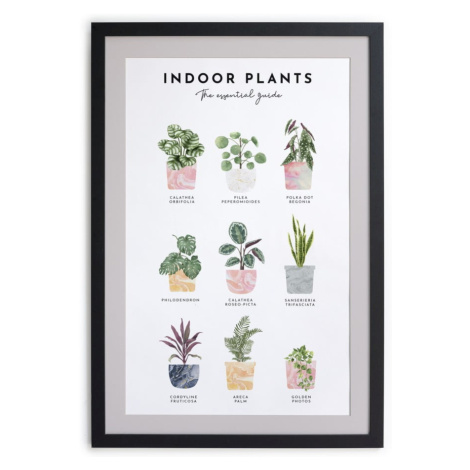 Nástenný obraz v ráme Really Nice Things Indoor Plants, 30 x 40 cm