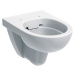 Geberit Selnova - Závesné WC, 530x355 mm, Rimfree, biela 500.265.01.1