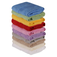 Sada 10 ručníků RAINBOW 30x50 cm vícebarevná