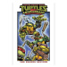 Idea & Design Works Teenage Mutant Ninja Turtles: 40th Anniversary Comics Celebration Deluxe Edi