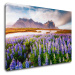 Impresi Obraz Horská krajina s kvety - 90 x 60 cm