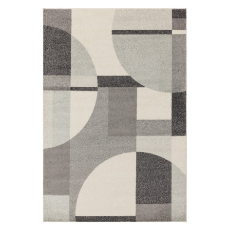 Sivý koberec 160x230 cm Muse – Asiatic Carpets