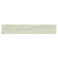 Dlažba Provenza Alter Ego sbiancato 20x120 cm mat EGNU