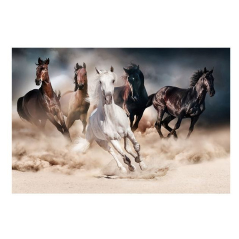 Sconto Obraz HORSES 120x80 cm, viacfarebná Houseland