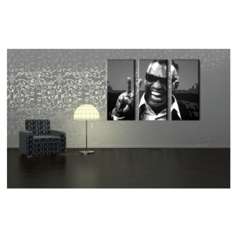 Ručne maľovaný POP Art obraz Ray Charles 3 dielny  rc