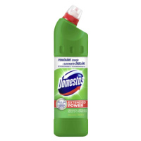 DOMESTOS 24h Plus Pine Fresh 750 ml