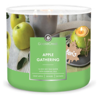 Vonná  sójová sviečka doba horenia 35 h Apple Gathering – Goose Creek